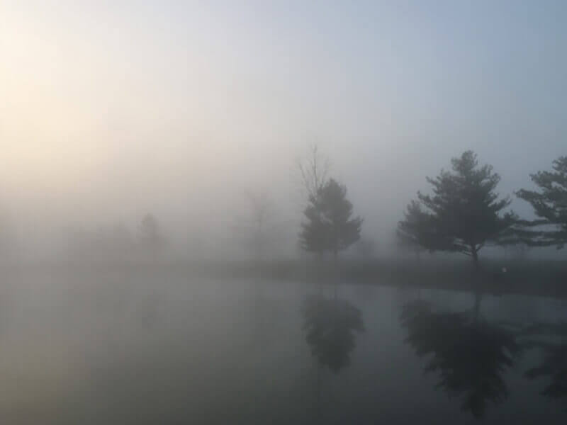 Fog